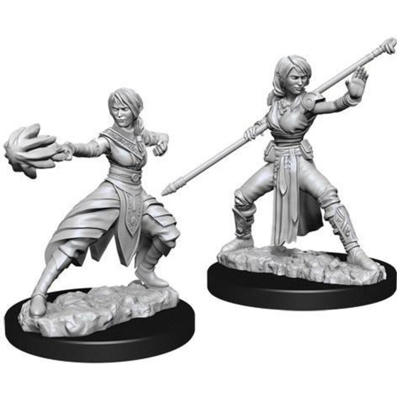 D&D Unpainted Mini – Female Half-Elf Monk 73839