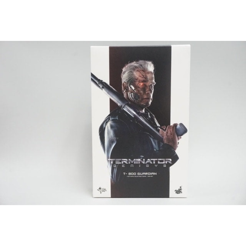 1:6 Hot Toys Movie Masterpiece Terminator: Genisys T-800 / Guardian Figure