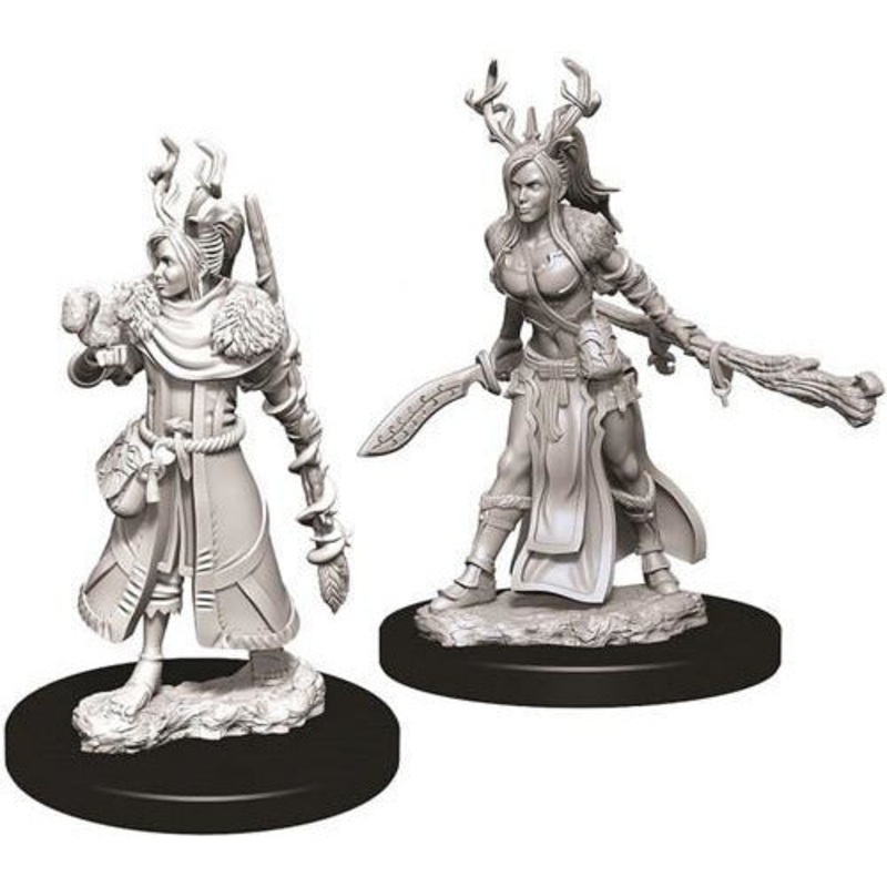 D&D Unpainted Mini – Female Human Druid 73701