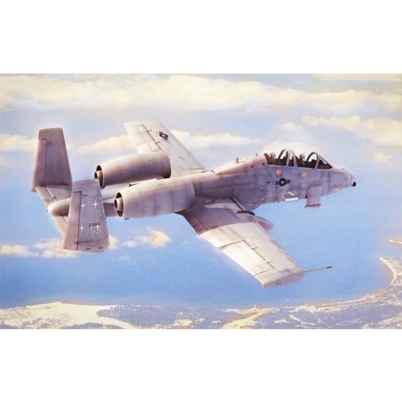 N/AW A-10A Thunderbolt II 1/48 by Hobby Boss