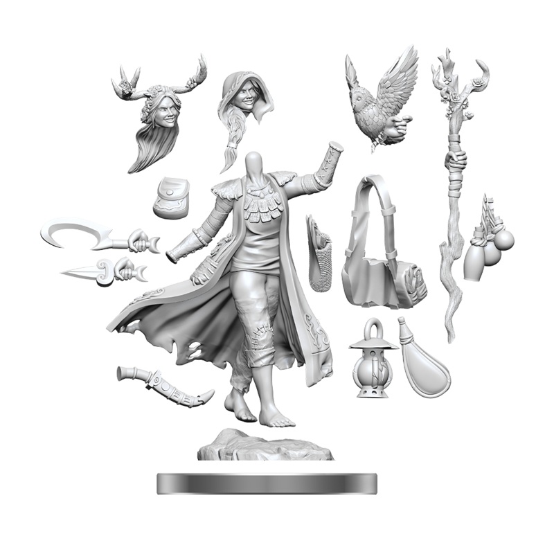 D&D Frameworks: Human Druid Female 75012