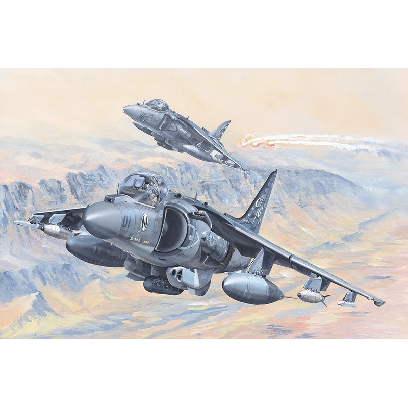 AV-8B Harrier II 1/18 #81804 by Hobby Boss